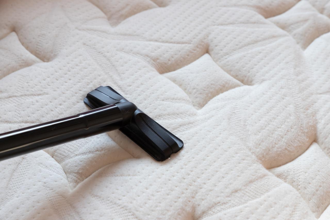 Comment nettoyer l'urine de chat sur un matelas — free download